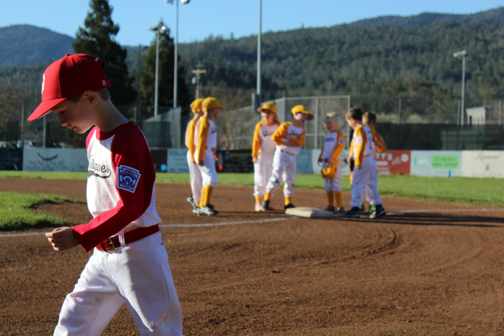 St. Helena Little League